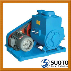 Rotary Vane Vacuum Pump (2X)